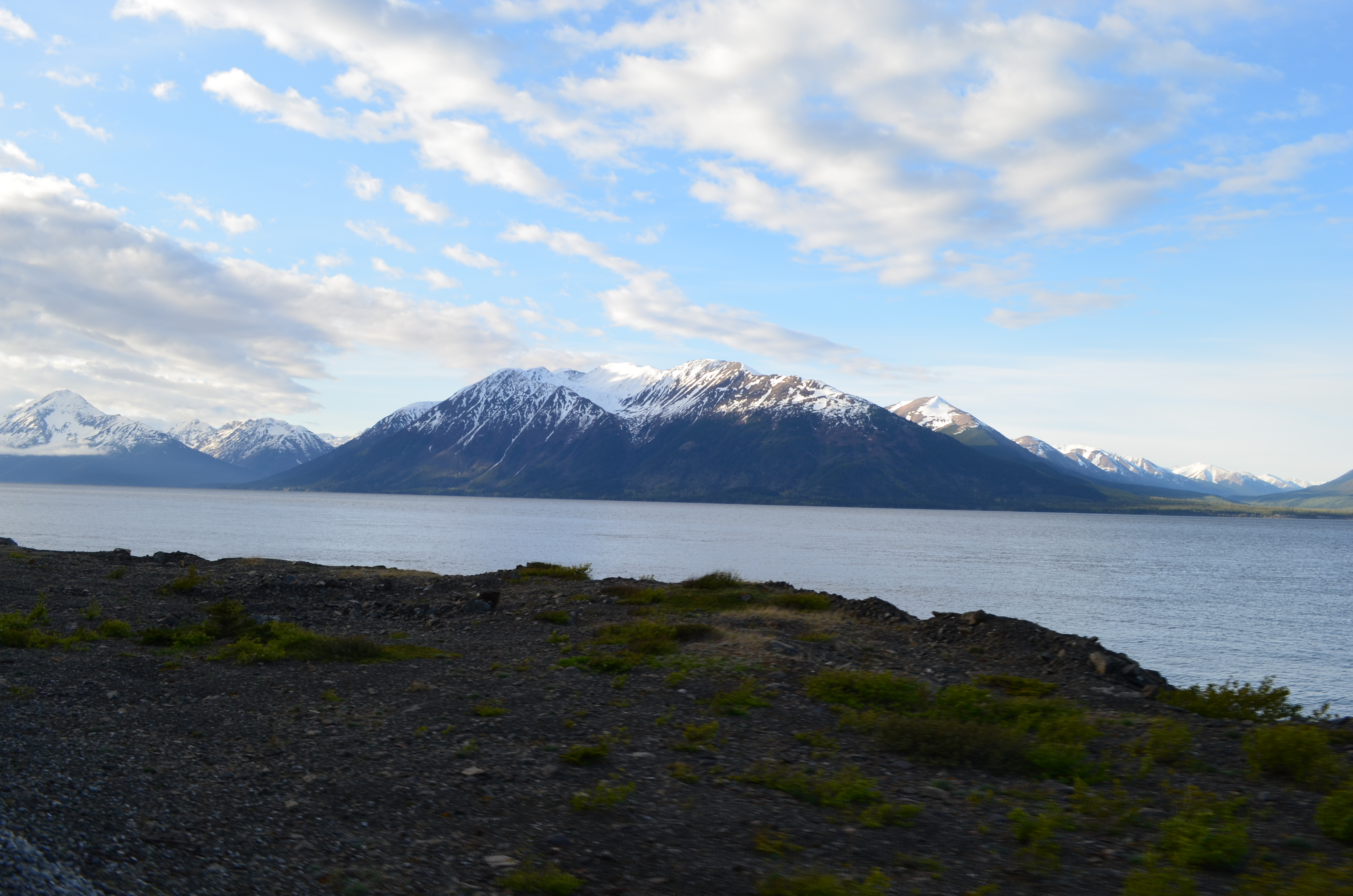./2017/08 - Alaska Cruise/05 - Train to Seward/DSC_0402.JPG
